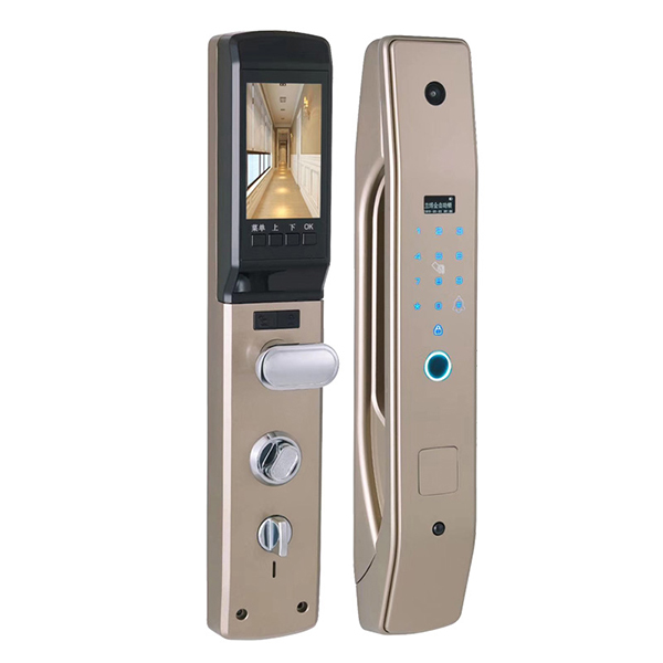 Comparatio Fingerprint sursum et Ordinarium Lock